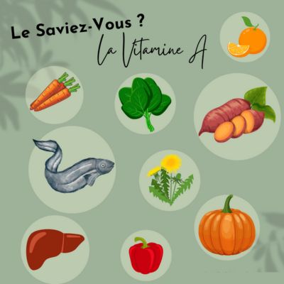 naturopathie animale alimentation vitamine a suisse romande haute savoie naturopathie animale vitamine a suisse romande haute savoie