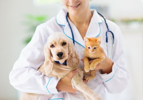 naturopathie animale veterinaire suisse romande france canada