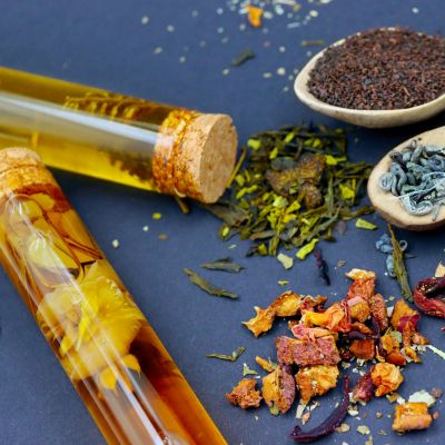 Phytotherapie Naturopathie animale soins naturels suisse romande haute savoie