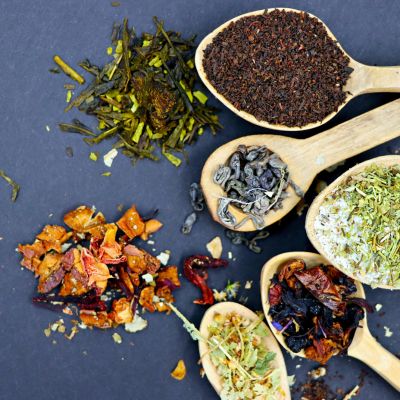 Phytotherapie Naturopathie animale soins naturels suisse romande haute savoie
