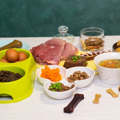 naturoapthie animale article alimentation naturopathie animale suisse romande france canada alimentation