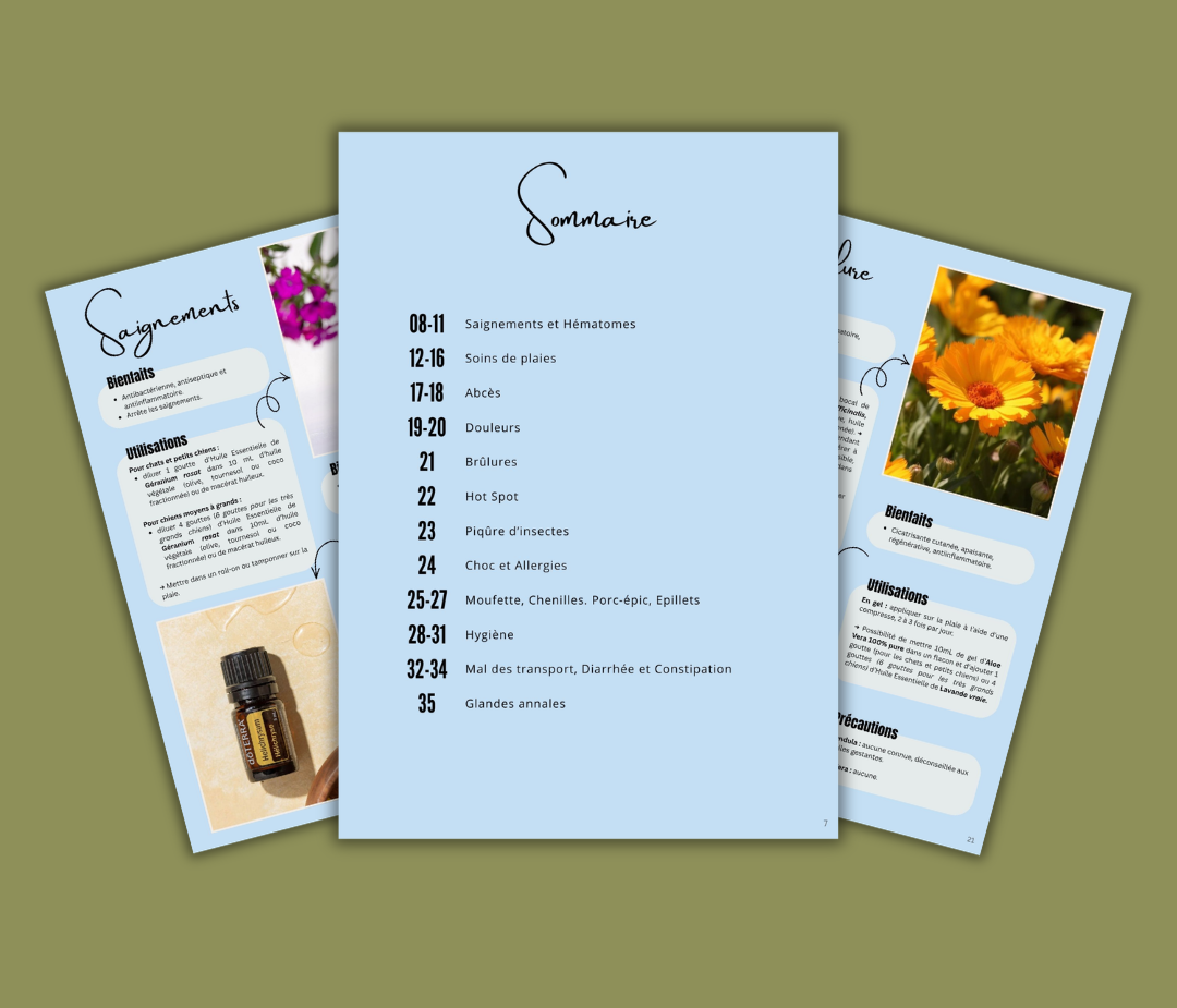 ebook premiers secours naturopathie animal cindy csakany
